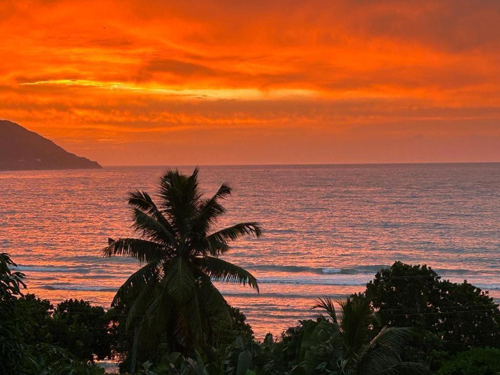 Summer Sand Holiday Apartments Beau Vallon  Dış mekan fotoğraf
